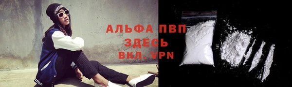 индика Беломорск