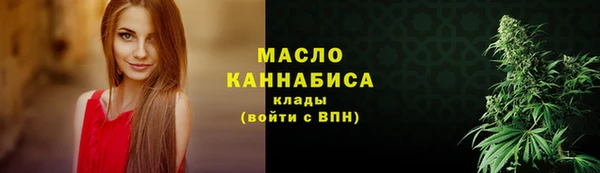 индика Беломорск