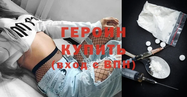 индика Беломорск