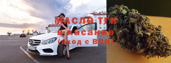 индика Беломорск