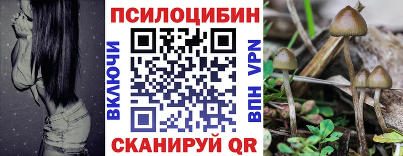 где найти наркотики  Кизел  Псилоцибиновые грибы мухоморы 